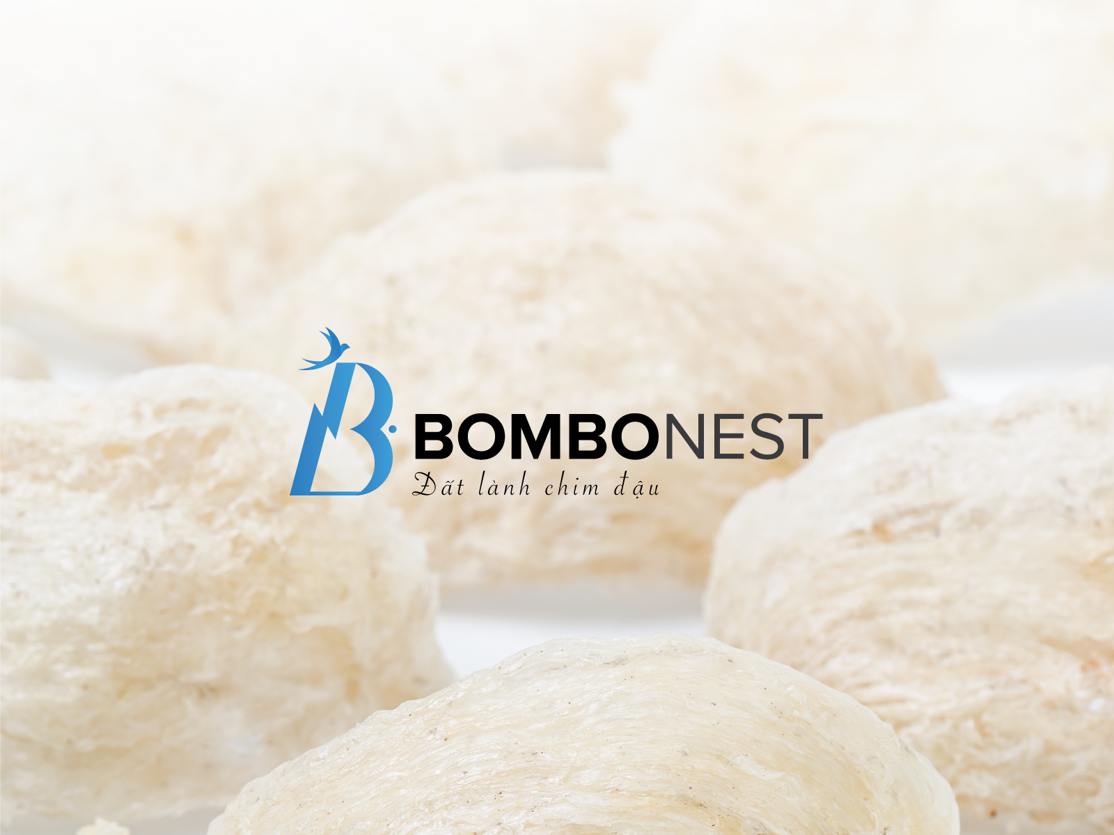 logo BomBoNest present 6